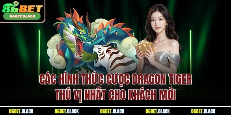 Các hình thức cược Dragon Tiger thú vị nhât cho khách mới