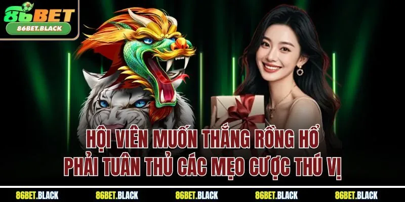Hội viên muốn thắng rồng hổ phải tuân thủ các mẹo cược thú vị